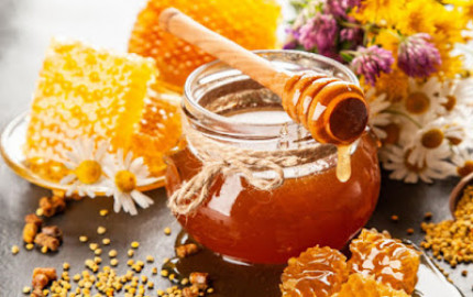 Honey Manufacturing Plant Project Report: Raw Materials, Plant Setup and Machinery Requirements | Syndicated Analytics