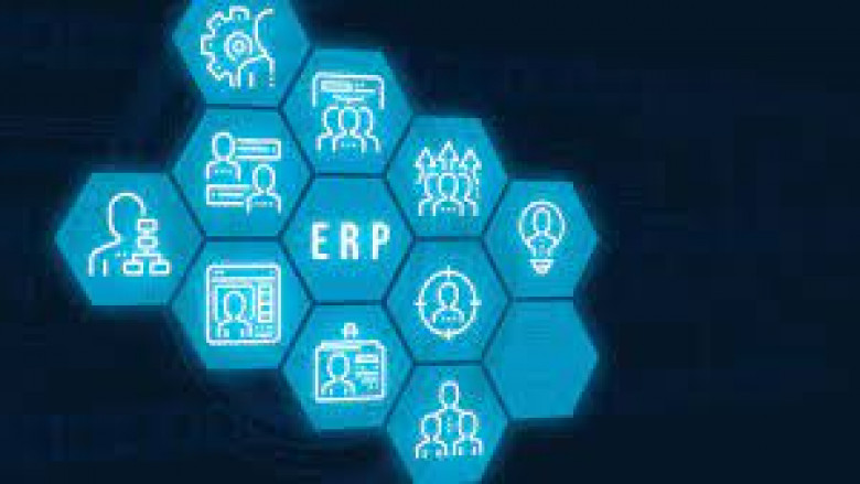 Customizing ERP Software: Tailoring for Success