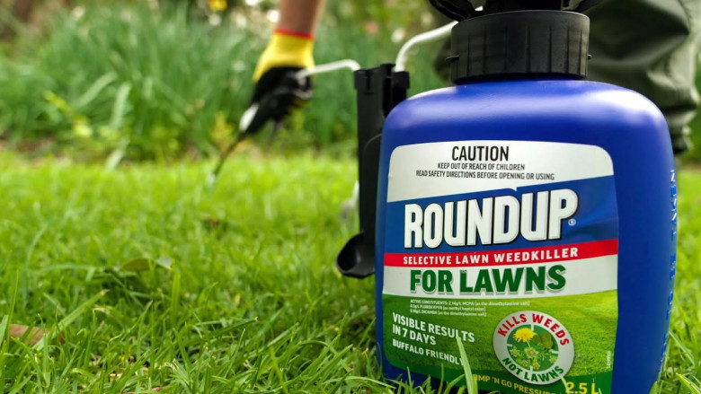  Nurturing Your Green Haven: A Guide to Choosing and Using Lawn Fertilizers
