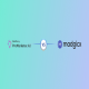Madgicx alternatives - Features &  pricing | WebMaxy 