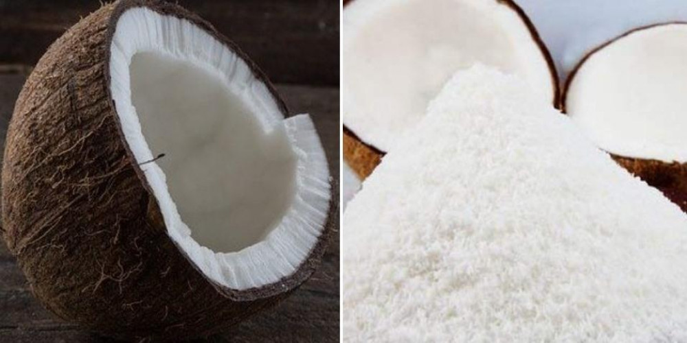 Coconut Powder Manufacturing Plant Project Report 2024: Manufacturing Process, Business Plan, Machinery Requirement | Syndicated Analytics