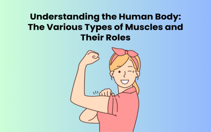 Understanding the Human Body: The Various Types of Muscles and Their Roles 