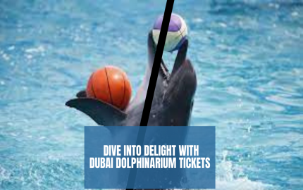 Dive into Delight with Dubai Dolphinarium Tickets