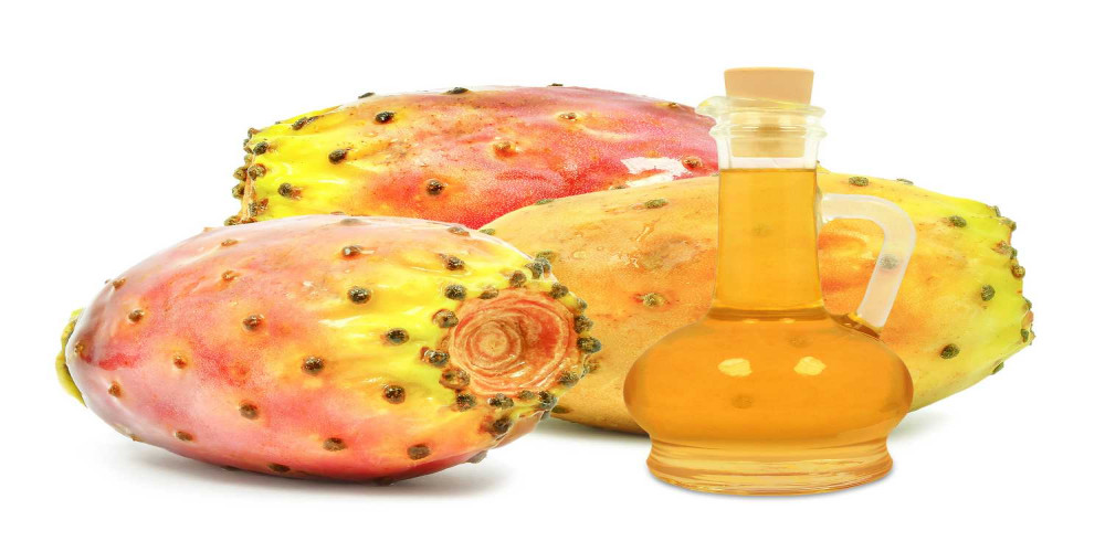  Prickly Pear Seed Oil Processing Plant Project Report 2024 | IMARC Group