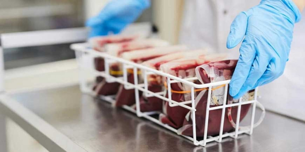 Setting up a Blood Bags Manufacturing Plant: Project Report 2024 and Business Plan