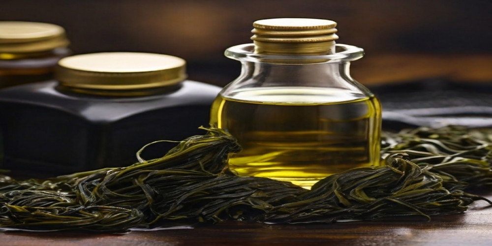 Seaweed Oil Processing Plant Report 2024: Project Details, Machinery Requirements and Cost Involved 
