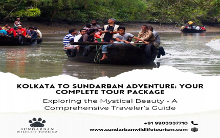 Kolkata to Sundarban Adventure: Your Complete Tour Package