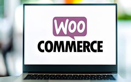 How to Convert WooCommerce Visitors into Customers