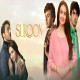 "Sukoon": A Tranquil Symphony of Emotions in Television Drama