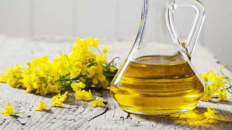 Rapeseed Oil Market Size, Share, Growth Analysis 2024-2032