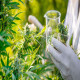 Cannabis Testing Market Share, Size, Trends, In-Depth Analysis and Forecast 2024-2032
