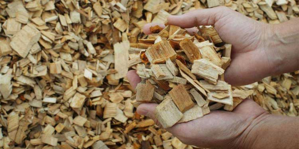 Wood Pulp Market Size, Share, Outlook, Forecast 2024-2032