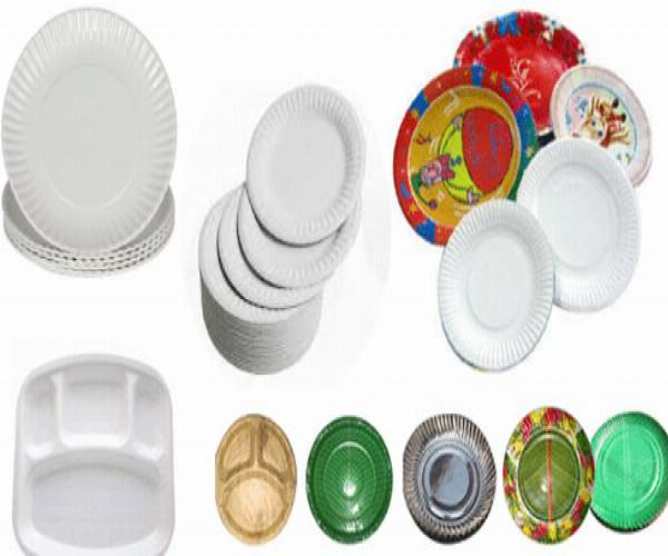 Paper Plates Manufacturing Plant Project Report 2024 Manufacturing