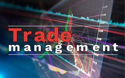 Trade Management Market Trends, Share, Size, Growth, and Forecast 2024-2032