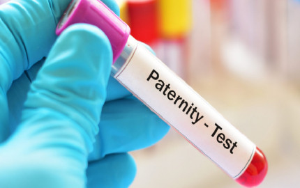 The Impact of Paternity Tests on Families