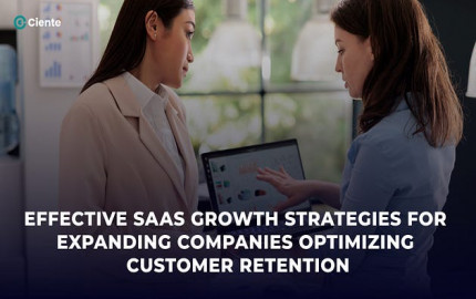 Effective SaaS growth strategies for expanding companies optimizing customer retention