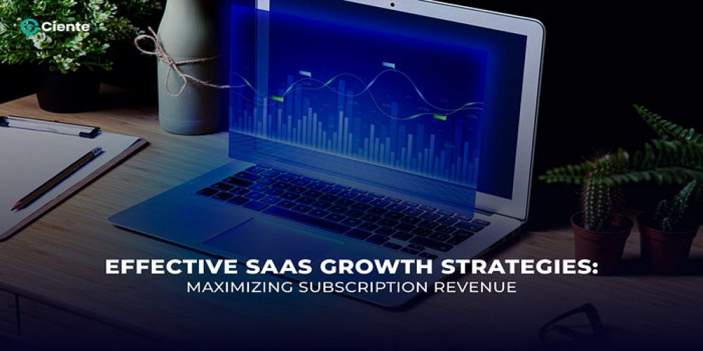 Effective SaaS Growth Strategies: Maximizing Subscription Revenue