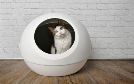 Cat Litter Box  Market Report: Latest Industry Outlook & Current Trends 2023 to 2032