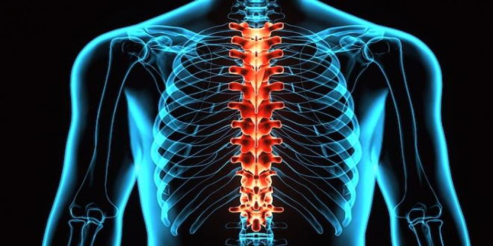 2024 Spinal Cord Injury Market | Report By 2034
