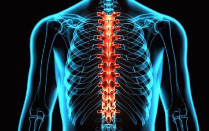 2024 Spinal Cord Injury Market | Report By 2034