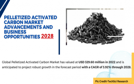 Pelletized Activated Carbon Market [2028] Key Trends and Strategies for Expansion