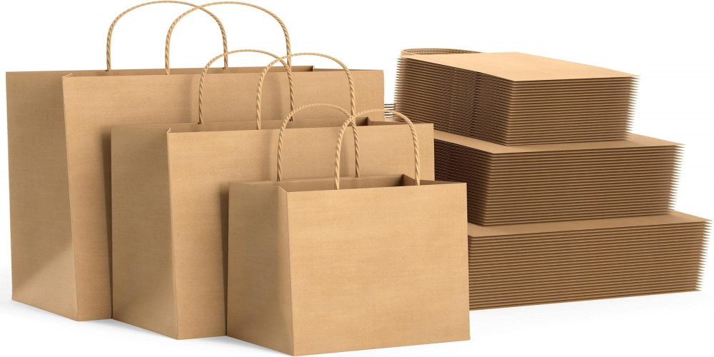 Setting up a Paper Shopping Bags Manufacturing Plant: Project Report 2024 and Business Plan