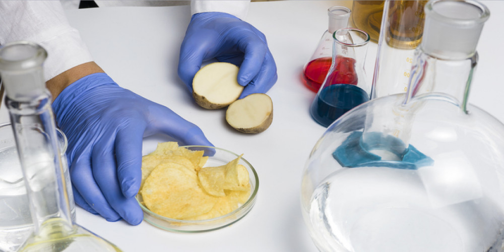 Food Safety Testing Market Growth, Share, Upcoming Opportunities, and Forecast 2024-2032