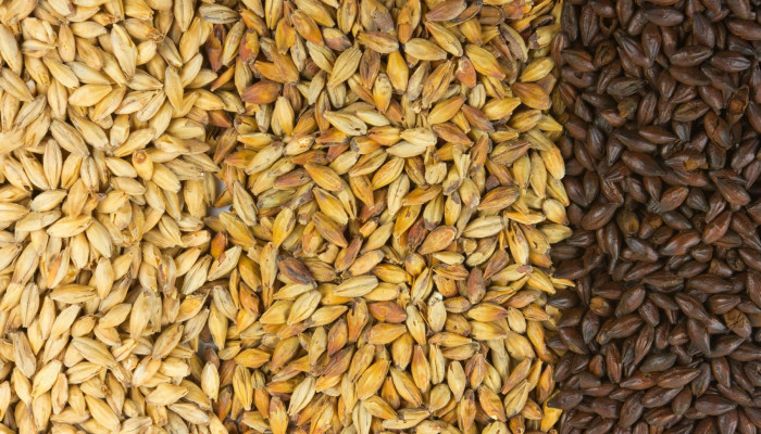 Malt Ingredients Market Trends, Share, Size, Growth, and Forecast 2024-2032