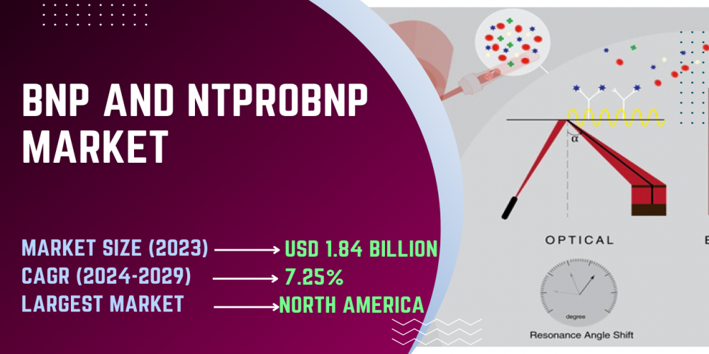 BNP And NTproBNP Market: Size, Share and Competitive Landscape Research by 2029 - TechSci Research