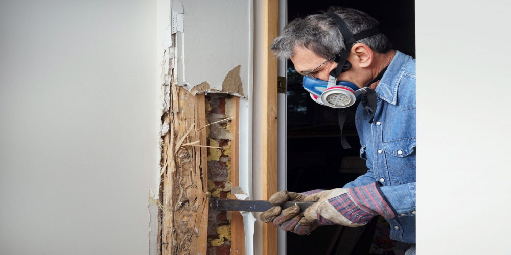 5 DIY Termite Prevention Tips Every Homeowner Should Know