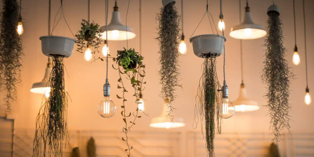 Exploring the Latest Trends in LED Decorative Lights