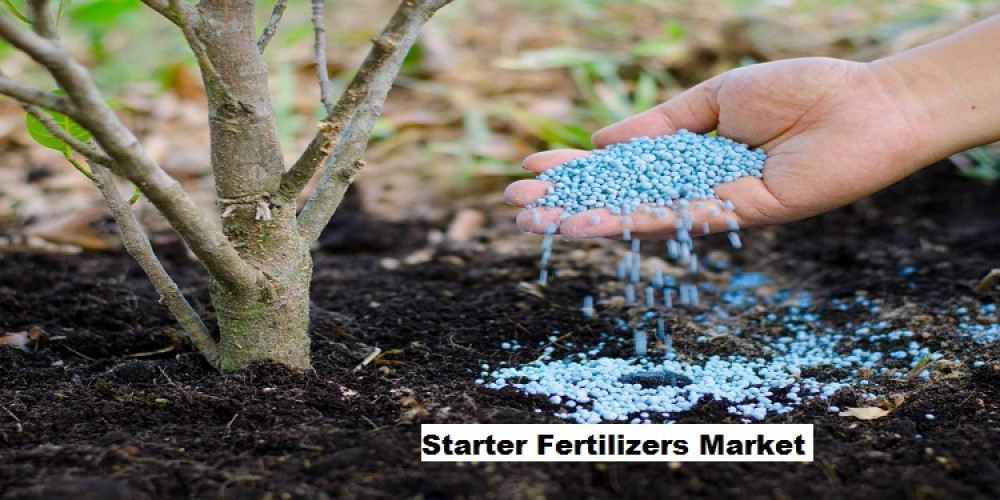 Starter Fertilizers Market to Grow with a CAGR of 5.53% through 2029
