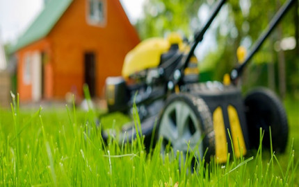 Why Do You Need Lawn Maintenance Services When Your Grass Is Dormant?