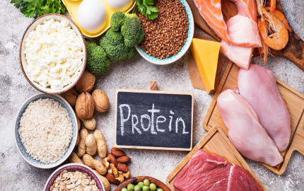 A Deep Dive into The Canada Animal Protein Market Size, Share, Trends, Growth and Analysis 2024-2032