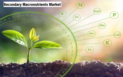 Secondary Macronutrients Market to Grow with a CAGR of 3.68% Globally