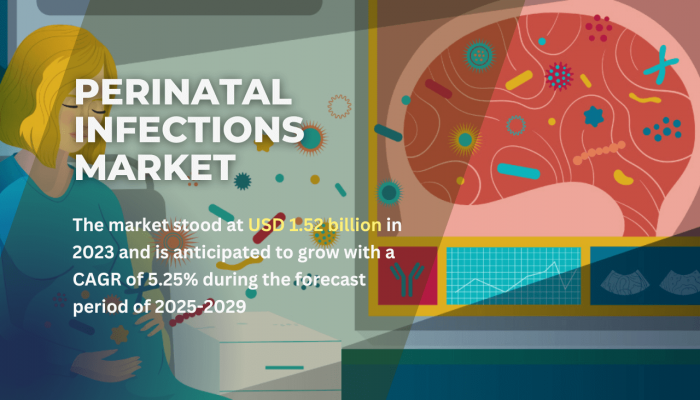 Perinatal Infections Market: Size, Growth, Opportunities, and Forecast till 2029 - TechSci Research