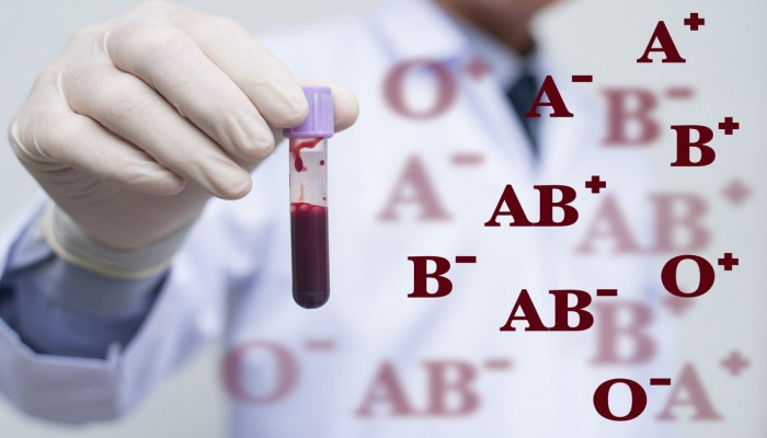 Blood Group Typing Market Size, Outlook Research Report 2023-2032