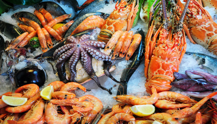 North America Frozen Seafood Market Outlook, Industry Size, Growth Factors, Investment Opportunity Till 2032
