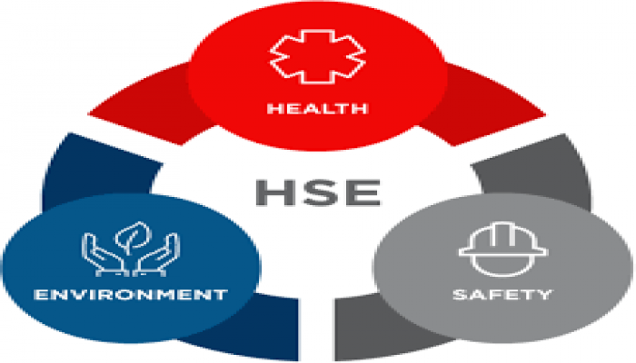 Health, Safety and Environment (HSE) Consulting and Training Services Market Size, Share Analysis, Key Companies, and Forecast To 2030	