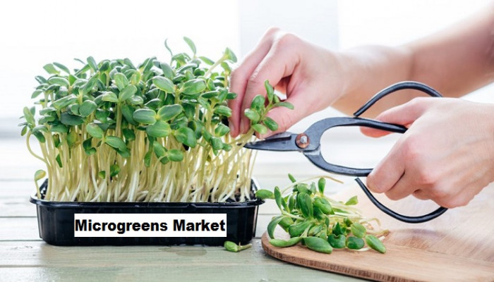 Microgreens Market to Grow with a CAGR of 8.56% through 2029