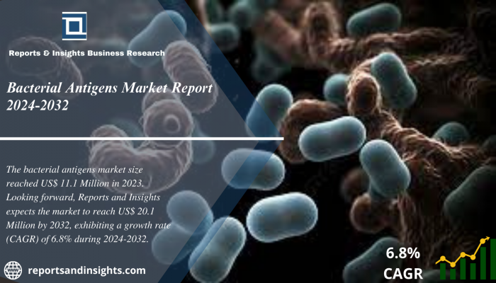 Bacterial Antigens Market Size, Share, Demand, Trends And Future Scope 2024 to 2032