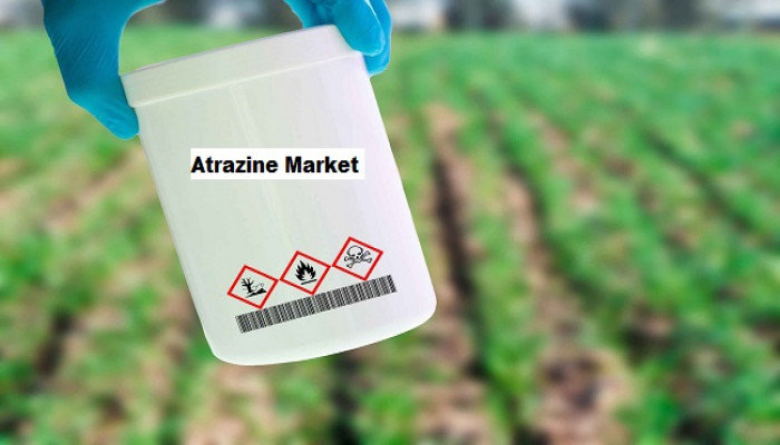 Atrazine Market to Grow with a CAGR of 6.07% through 2029