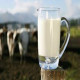 GCC Fresh Milk Market Size, Growth, Demand, Top Companies and Forecast Till 2028