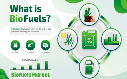 Biofuels Market Trends: Emerging Technologies and Market Shifts