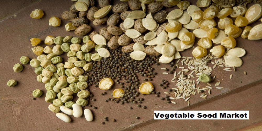 Vegetable Seed Market to Grow with a CAGR of 4.44% through 2028