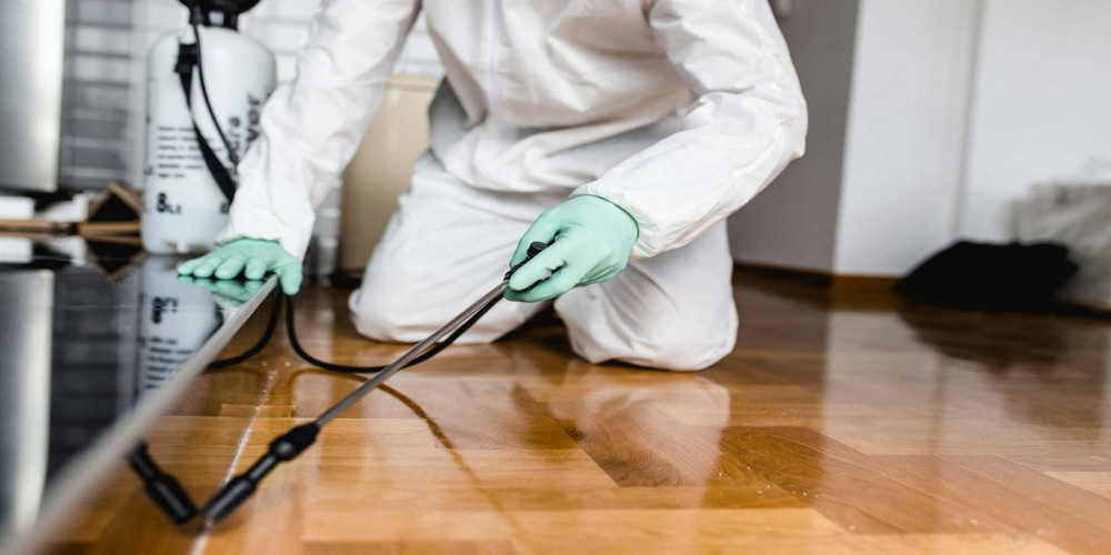 How To Choose The Right Pest Control Company