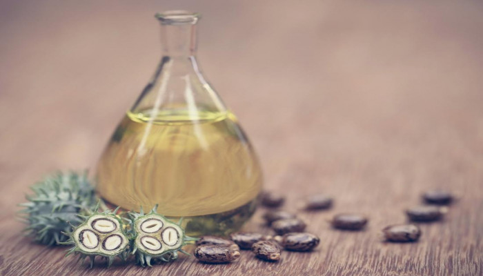 Europe Castor Oil Market Size, Share, Growth, Top Companies Analysis, Report 2024-2032