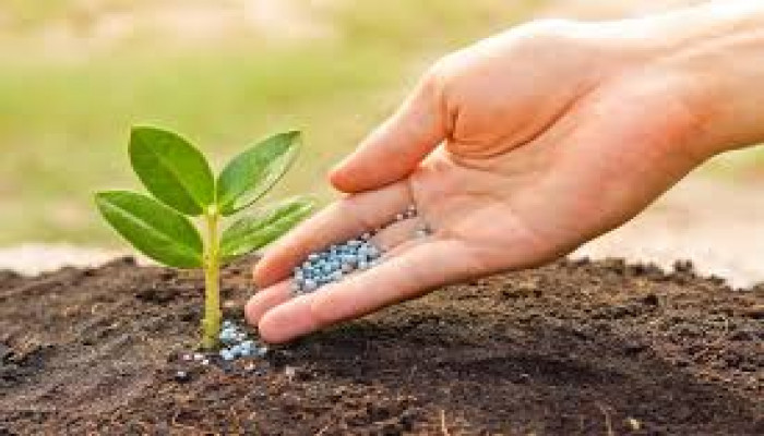 Phosphate Fertilizers Market SWOT Analysis, Business Growth Opportunities by 2033