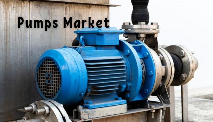 Pumps Market Report: Comprehensive Assessment and Future Projections