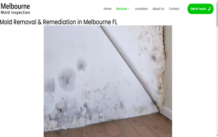 Professional Mold Remediation Services in Melbourne